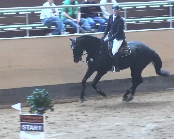 Reitturnier München-Riem 2015