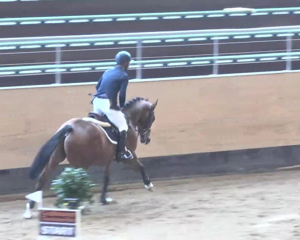 Reitturnier München-Riem 2015
