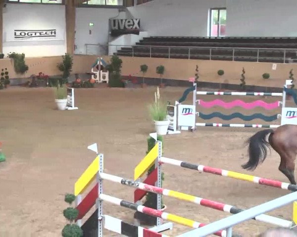 Reitturnier München-Riem 2015