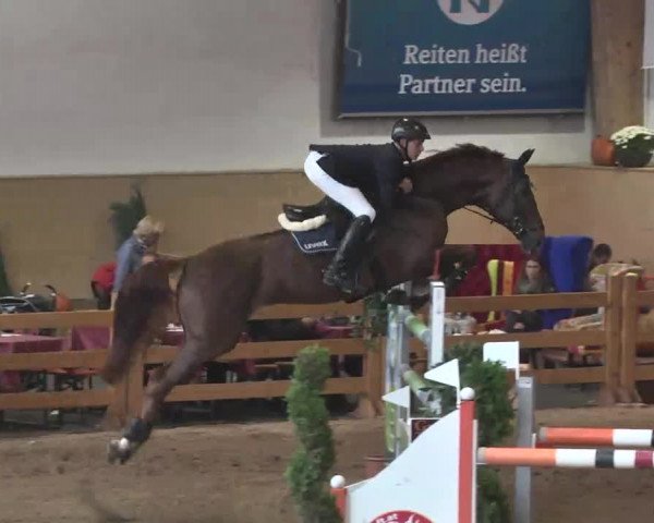 Reitturnier München-Riem 2015