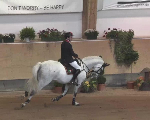 Reitturnier München-Riem 2015