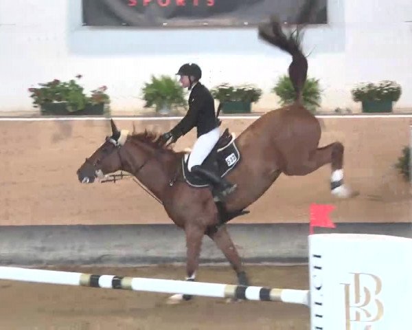 Reitturnier München-Riem 2015