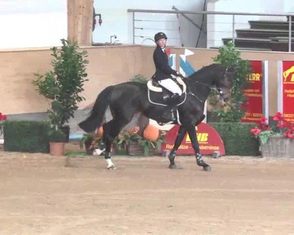 Reitturnier München-Riem 2015