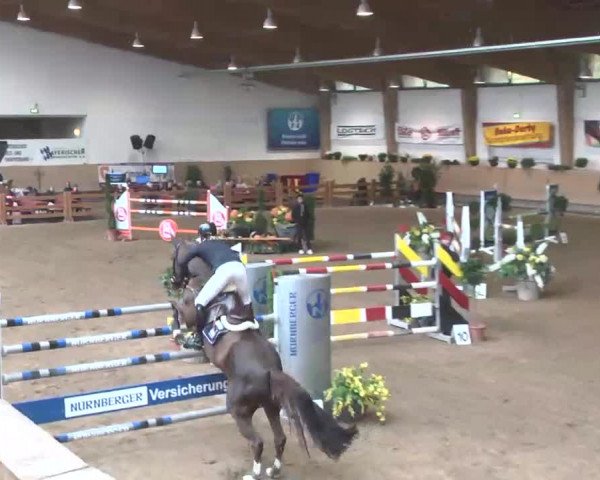 Reitturnier München-Riem 2015