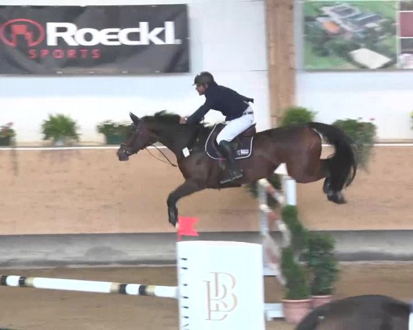 Reitturnier München-Riem 2015