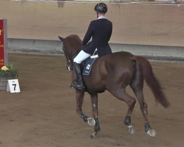Reitturnier München-Riem 2015