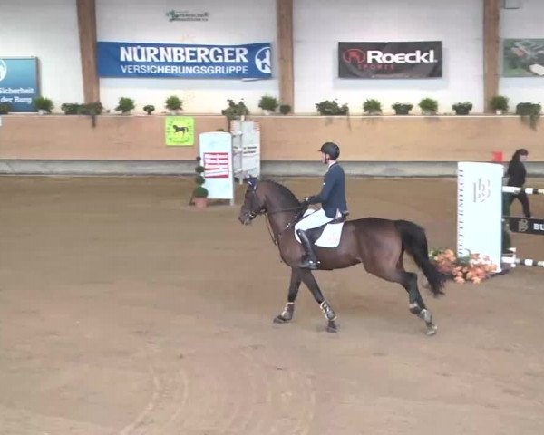 Reitturnier München-Riem 2015