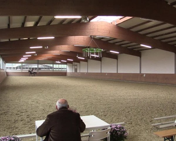 Reitturnier Gut Hohenkamp / Dorsten 2015