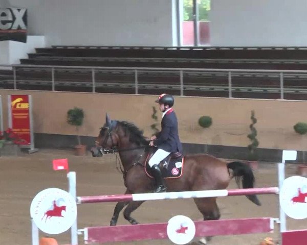 Reitturnier München-Riem 2015