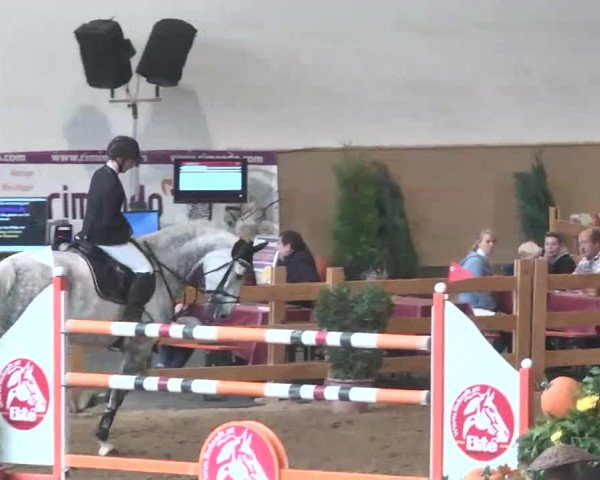 Reitturnier München-Riem 2015