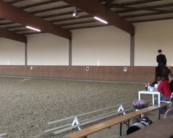 Reitturnier Gut Hohenkamp / Dorsten 2015