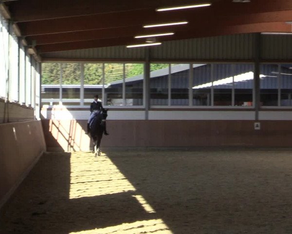 Reitturnier Gut Hohenkamp / Dorsten 2015