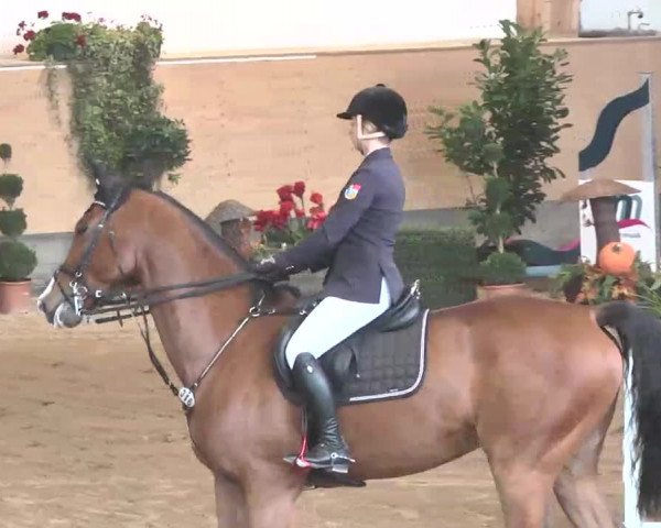 Reitturnier München-Riem 2015