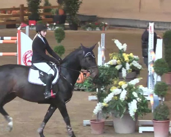 Reitturnier München-Riem 2015