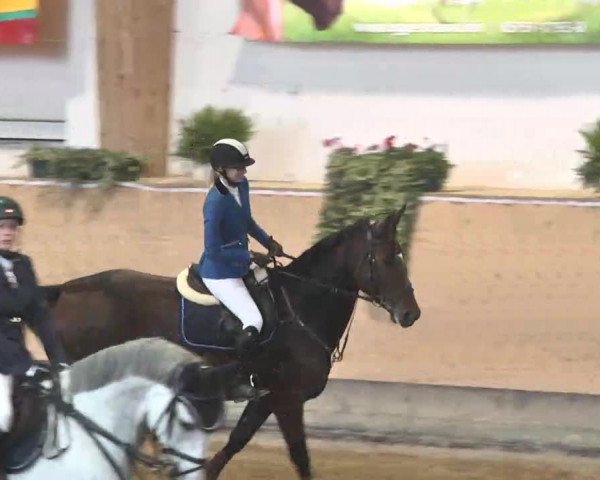 Reitturnier München-Riem 2015