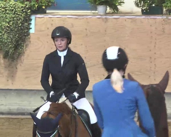 Reitturnier München-Riem 2015