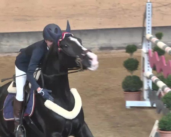 Reitturnier München-Riem 2015