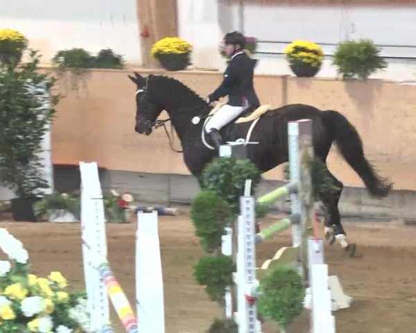 Reitturnier München-Riem 2015