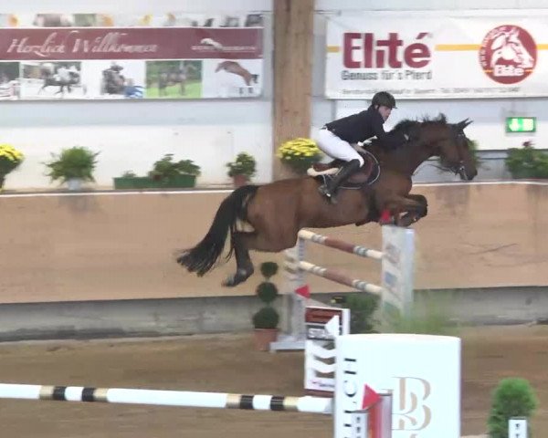 Reitturnier München-Riem 2015