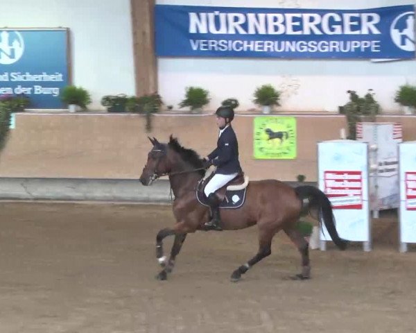 Reitturnier München-Riem 2015