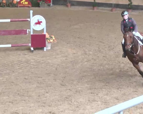 Reitturnier München-Riem 2015