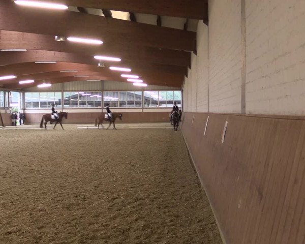 Reitturnier Gut Hohenkamp / Dorsten 2015