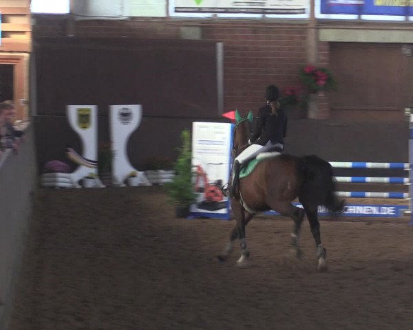 Reitturnier Hüllhorst 2015