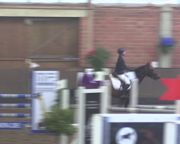 Reitturnier Hüllhorst 2015