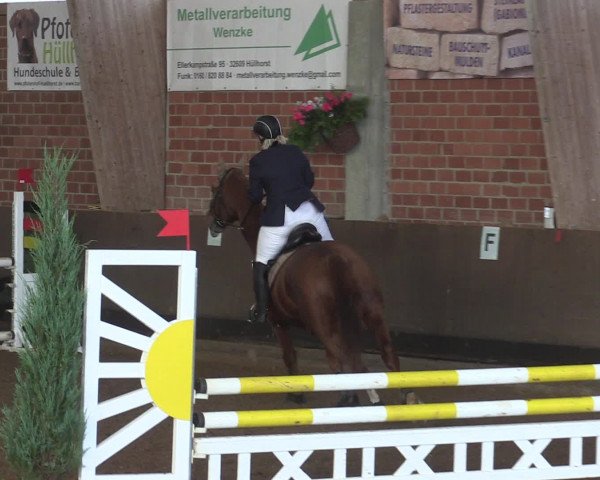 Reitturnier Hüllhorst 2015