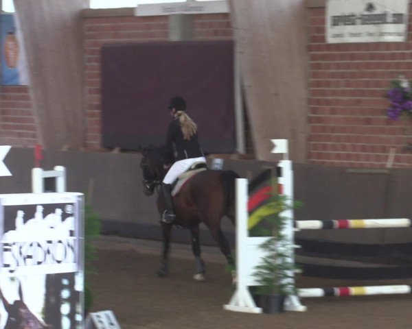 Reitturnier Hüllhorst 2015
