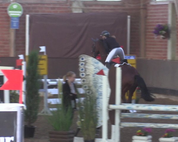 Reitturnier Hüllhorst 2015