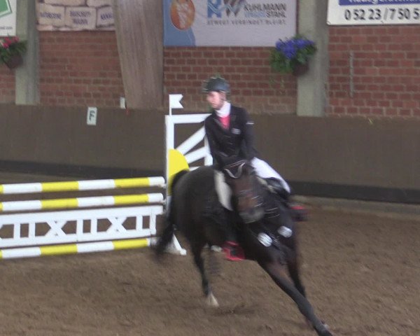 Reitturnier Hüllhorst 2015