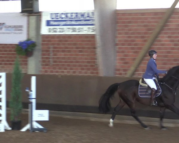 Reitturnier Hüllhorst 2015