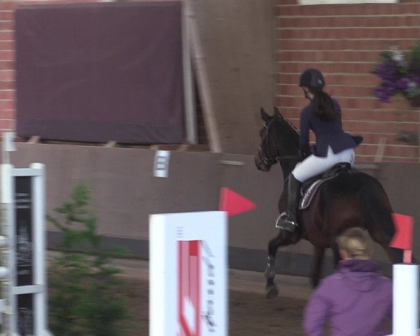 Reitturnier Hüllhorst 2015