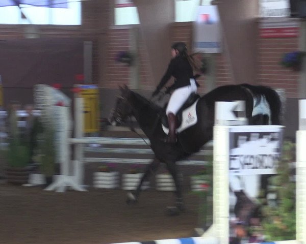 Reitturnier Hüllhorst 2015