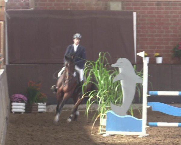 Reitturnier Hüllhorst 2015