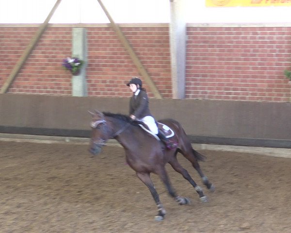 Reitturnier Hüllhorst 2015
