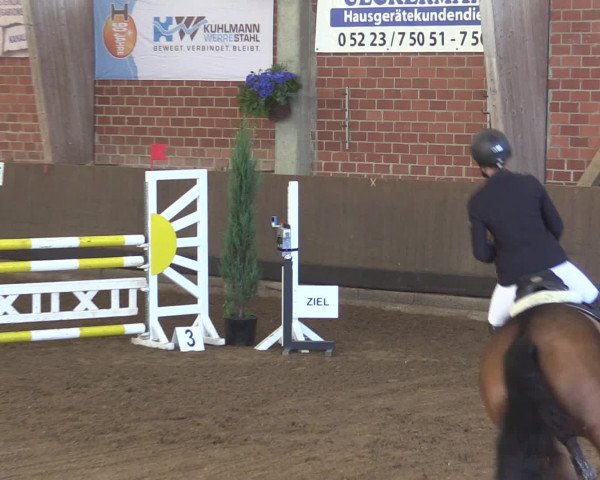 Reitturnier Hüllhorst 2015