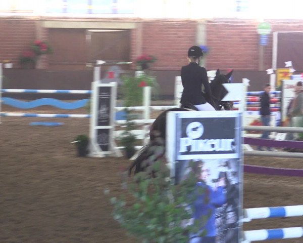 Reitturnier Hüllhorst 2015