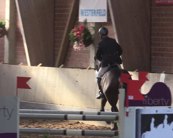 Reitturnier Hüllhorst 2015
