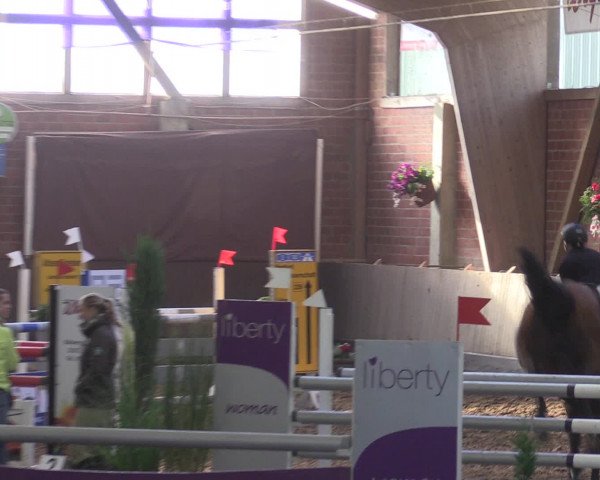 Reitturnier Hüllhorst 2015