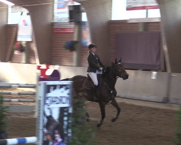 Reitturnier Hüllhorst 2015