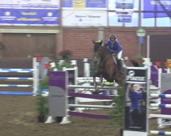 Reitturnier Hüllhorst 2015
