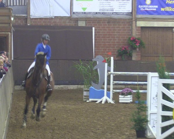 Reitturnier Hüllhorst 2015