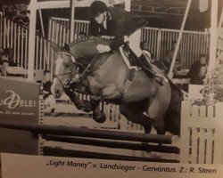 jumper Light Money (Oldenburg, 1996, from Landsieger I)