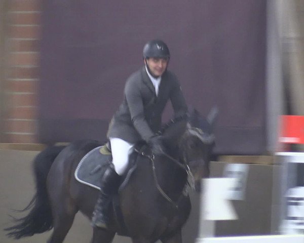 Reitturnier Hüllhorst 2015