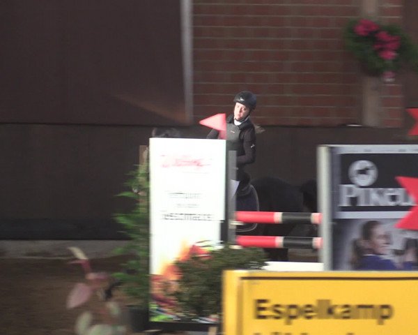 Reitturnier Hüllhorst 2015