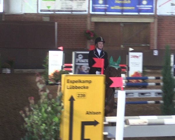 Reitturnier Hüllhorst 2015