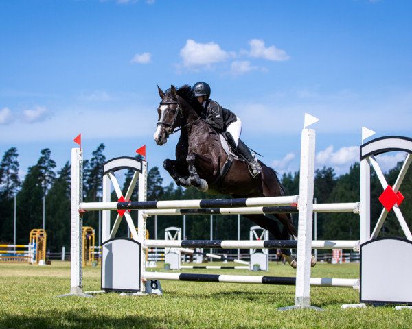 jumper Cordelette (Swedish Warmblood, 2006, from Akribori)