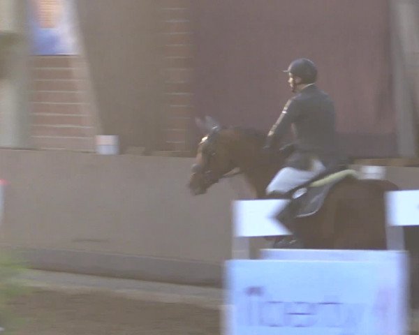 Reitturnier Hüllhorst 2015